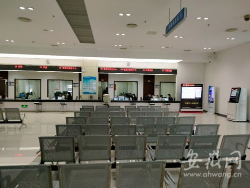 虎年開工首日探訪 安徽省政務(wù)服務(wù)中心窗口人員堅(jiān)守崗位，熱情服務(wù)暖人心